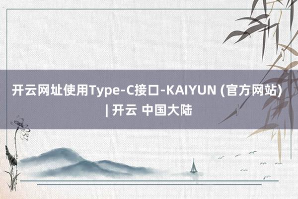 开云网址使用Type-C接口-KAIYUN (官方网站) | 开云 中国大陆