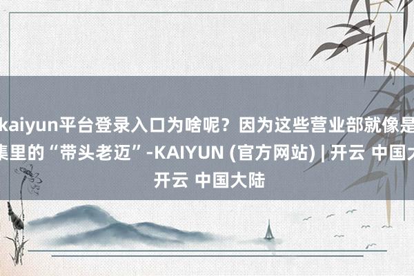 kaiyun平台登录入口为啥呢?因为这些营业部就像是市集里的“带头老迈”-KAIYUN (官方网站) | 开云 中国大陆